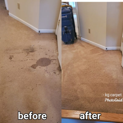 Expert Area Rug, Carpet and Upholstery Cleaning in NYC