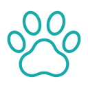 paw