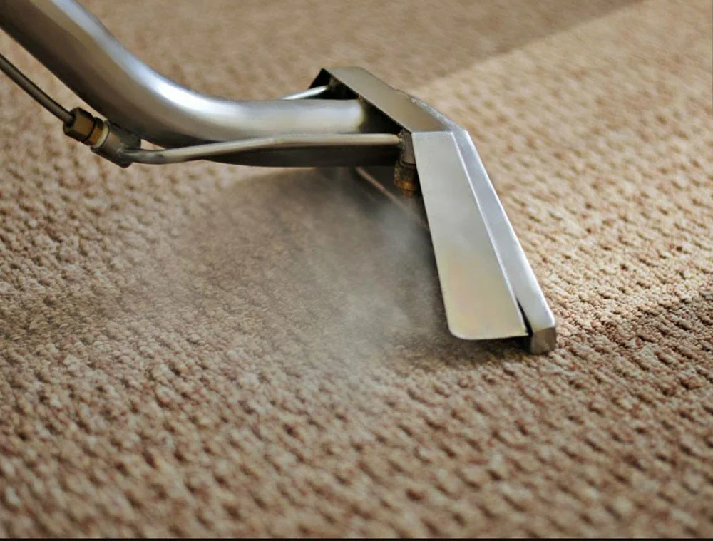 Professional steam extraction wand cleaning residential carpet for KG Carpet and Upholstery Cleaning Corp.