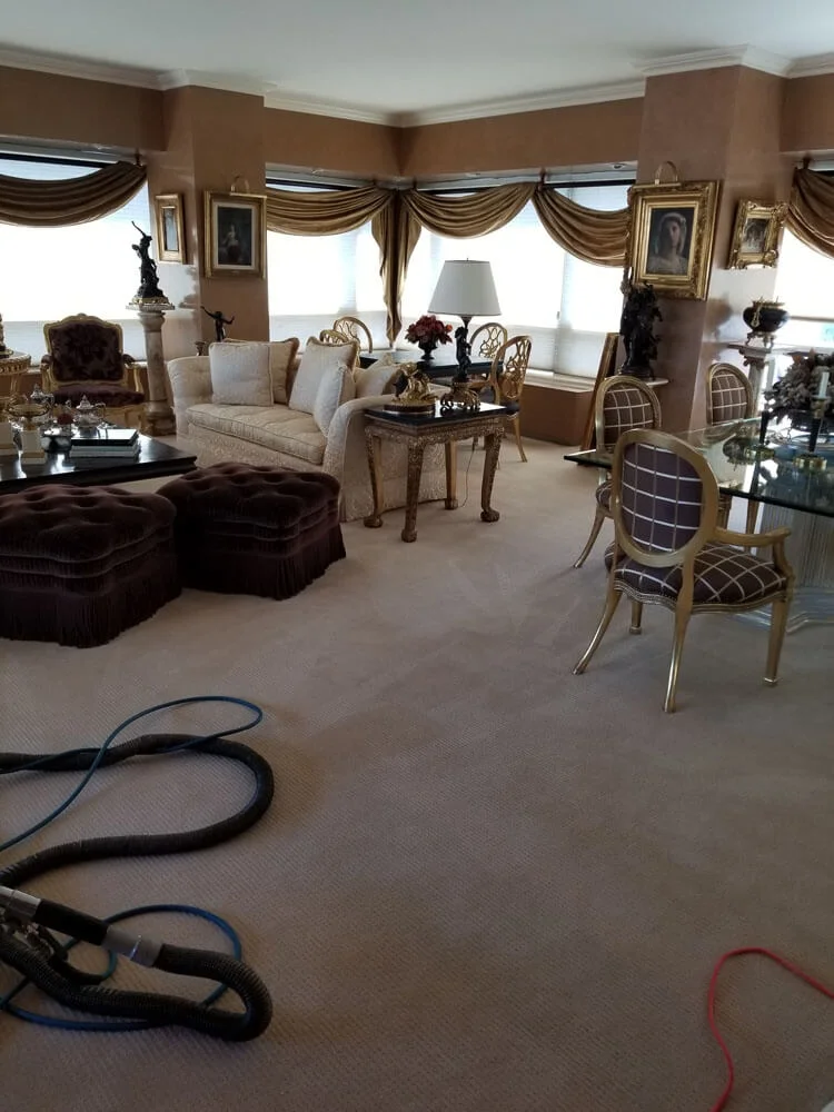 Luxury living room carpet being professionally cleaned by KG Carpet and Upholstery Cleaning Corp.